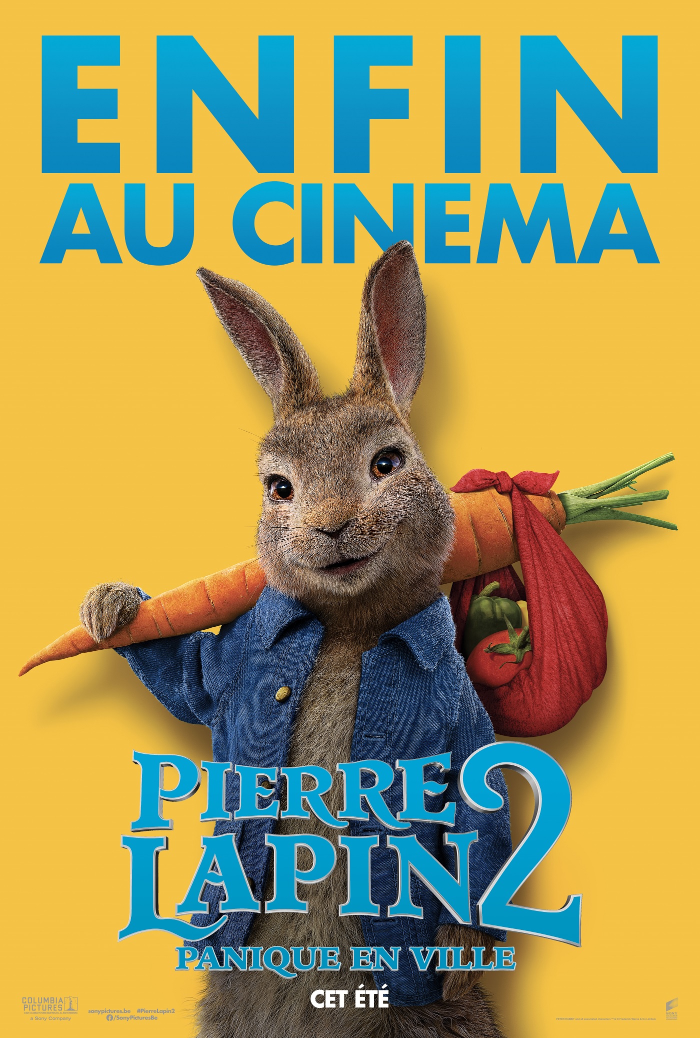 Pierre Lapin 