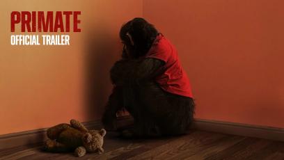 Primate
