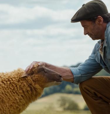  Bèèèèh: Het Mysterie van de Wei