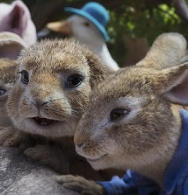 Peter Rabbit II Promo banner