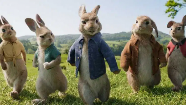 peter rabbit image1